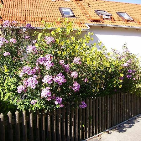 Wiflinger Graben Einfamilienhaus Wörth Exterior foto