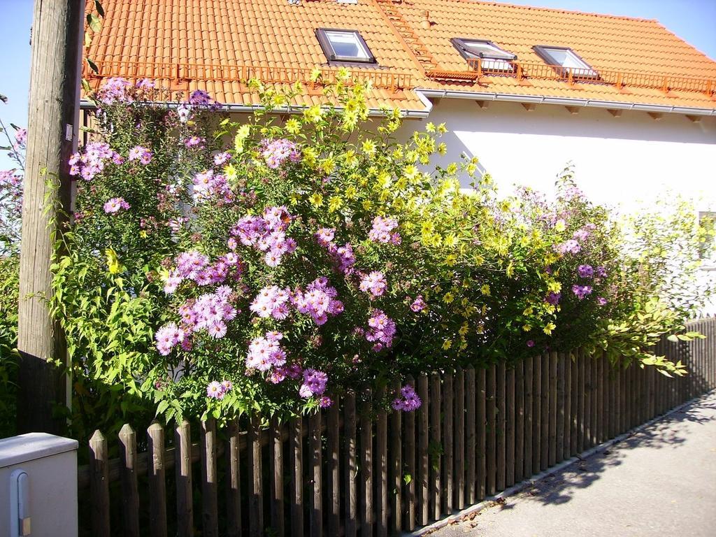 Wiflinger Graben Einfamilienhaus Wörth Exterior foto