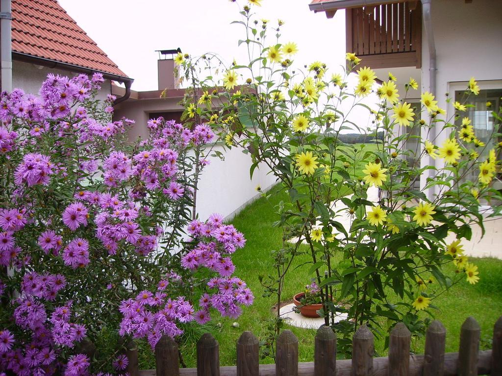 Wiflinger Graben Einfamilienhaus Wörth Exterior foto